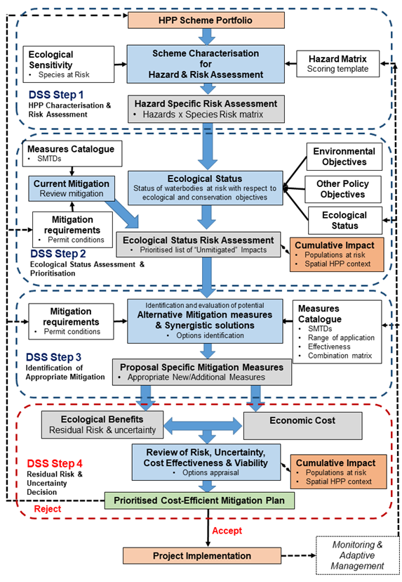 Conceptual flow diagram of a risk-based Decision Support System to ensure environmentally friendly hydropower decision-making – Scenario 1 – risk assessment and mitigation planning for existing hydropower scheme(s). Grey = outputs/inputs to/from steps; blue = tasks; White = FIThydro inputs and matrices; Green = final output/objective.