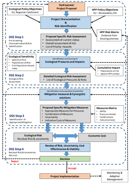 Conceptual flow diagram of a risk-based Decision Support System to ensure environmentally friendly hydropower decision making