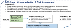 Conceptual flow diagram of Step 1 of the proposed Decision Support System Framework - Pre-screening characterization and risk identification. Grey = outputs/inputs to/from steps; blue = tasks; White = FIThydro inputs and matrices; Green = final output/objective.