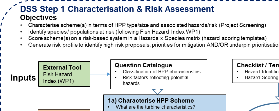 Conceptual flow diagram of Step 1 of the proposed Decision Support System Framework - Pre-screening characterization and risk identification. Grey = outputs/inputs to/from steps; blue = tasks; White = FIThydro inputs and matrices; Green = final output/objective.