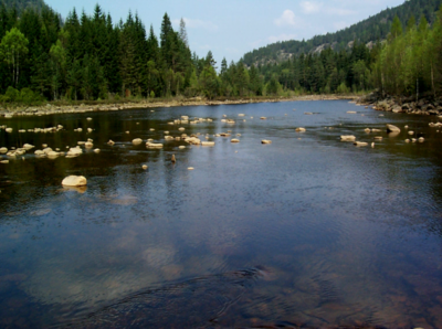 Environmental flow release in Mandal River, Norway (Photo: Atle Harby)