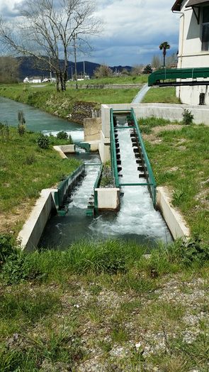 Gotein-4-Baffle fishway.jpg