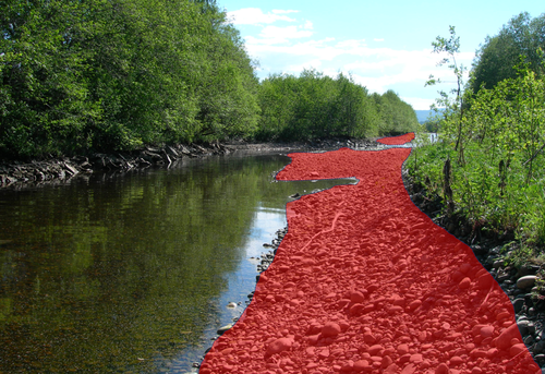 Figure 2: Fish using the areas identified by red colour will have a risk of stranding when the water level drops rapidly (Photo: Tor Haakon Bakken).